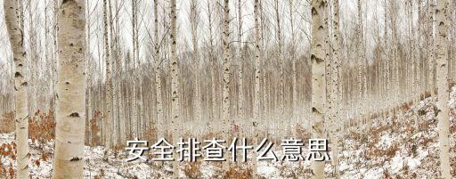 安全排查，安全排查什么意思