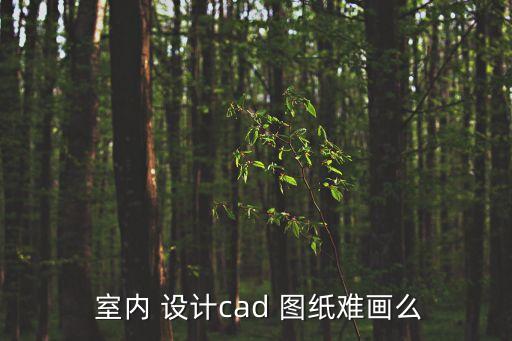  室內 設計cad 圖紙難畫么