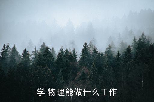 學(xué) 物理能做什么工作