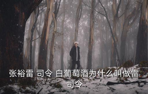 張裕雷 司令 白葡萄酒為什么叫做雷 司令
