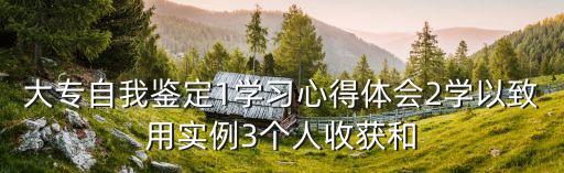 自我鑒定300字大專，大專自我鑒定1學(xué)習(xí)心得體會2學(xué)以致用實例3個人收獲和