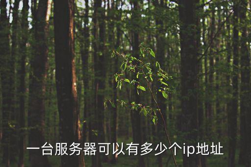 服務器ip地址，服務器ip地址是什么