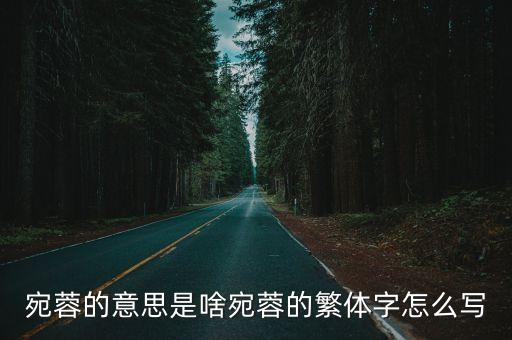 宛蓉的意思是啥宛蓉的繁體字怎么寫