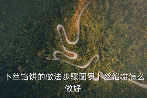 卜絲餡餅的做法步驟圖羅卜絲餡餅怎么做好