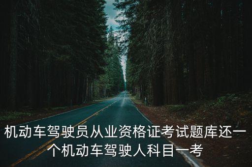機動車駕駛人科目一考試題庫，駕駛人科目一考試題庫