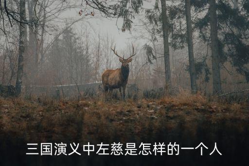 三國演義中左慈是怎樣的一個人