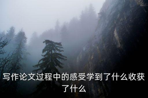 寫作論文過程中的感受學到了什么收獲了什么