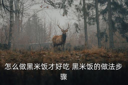 黑米飯的做法，怎么做黑米飯才好吃 黑米飯的做法步驟