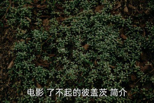 電影 了不起的彼蓋茨 簡介
