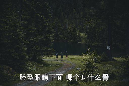 臉型眼睛下面 哪個(gè)叫什么骨