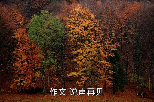 說聲再見，多想看你最后一眼 真的好想說聲再見 歌名是什么