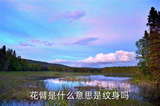 花臂紋身，花臂是什么意思是紋身嗎