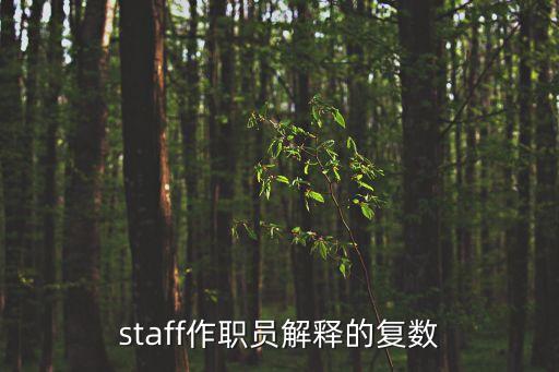 staff作職員解釋的復(fù)數(shù)