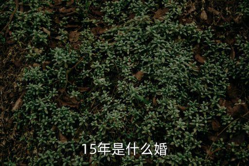 15年是什么婚