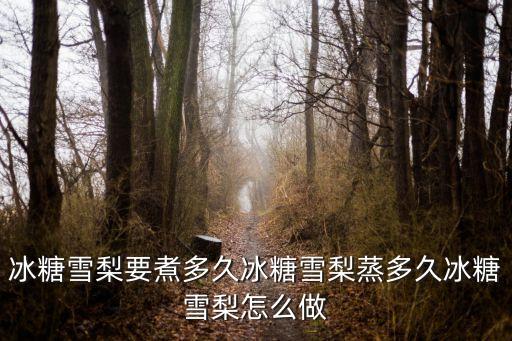 蒸雪梨，冰糖雪梨要煮多久冰糖雪梨蒸多久冰糖雪梨怎么做