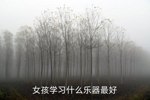 女生學什么樂器好，女孩學什么樂器好 十種最適合女孩子學習的