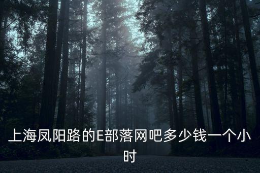 e部落，青島E部落網吧的具體位置