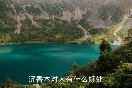 沉香木的功效與作用，沉香木的好處