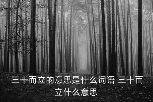 三十而立的意思,三十而立是中國的習語