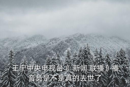 新聞聯播主持人王寧,新聞-0主持人王寧的情人是劉智明