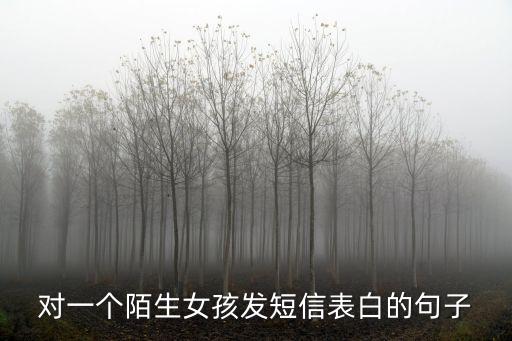 表白短信，一封表白短信