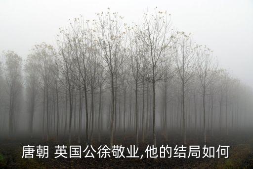 唐朝 英國公徐敬業(yè),他的結局如何