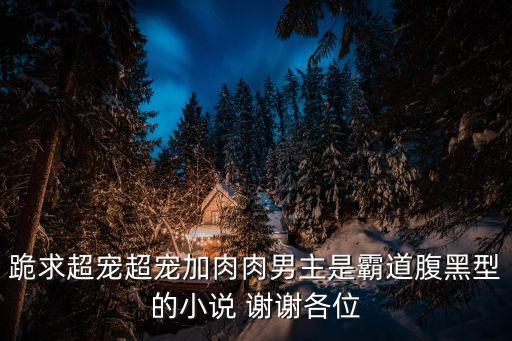 跪求超寵超寵加肉肉男主是霸道腹黑型的小說(shuō) 謝謝各位