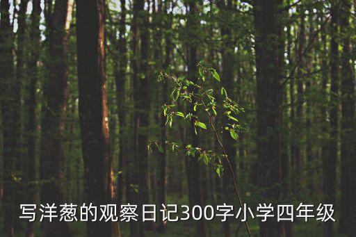 寫洋蔥的觀察日記300字小學四年級