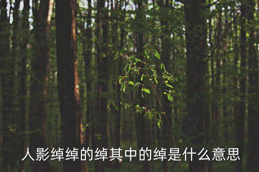  人影綽綽的綽其中的綽是什么意思