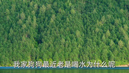 我家狗狗最近老是喝水為什么呢
