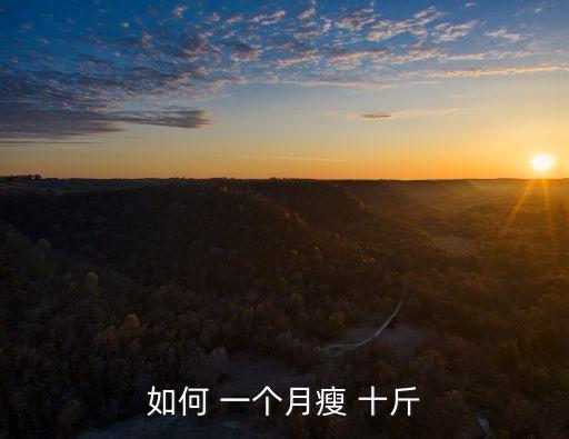 如何 一個月瘦 十斤
