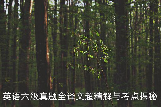 六級(jí)翻譯真題，歷年四六級(jí)真題及閱讀翻譯