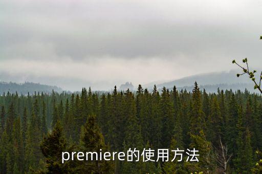 pr怎么使用，Premiere怎么使用