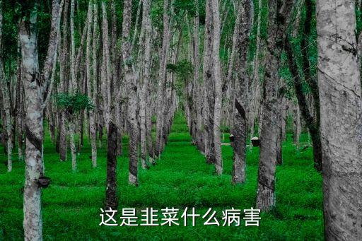 韭菜疫病，韭菜疫病用什么藥效果最好