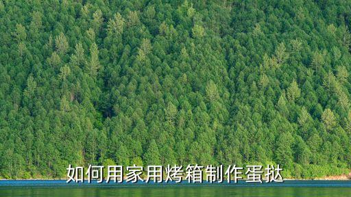 如何用家用烤箱制作蛋撻