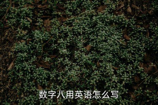 8用英語怎么寫，8 英語怎么寫