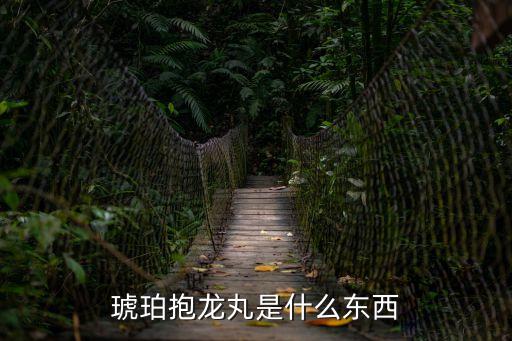 琥珀抱龍丸是什么東西