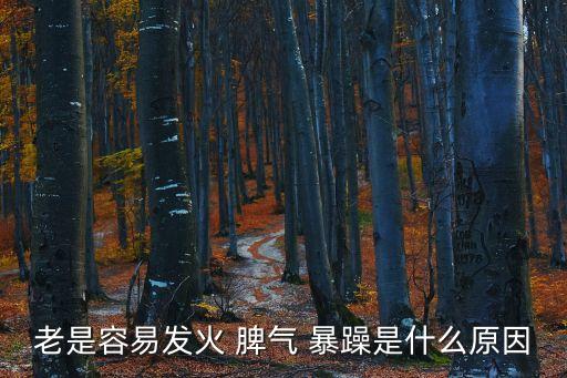老是容易發火 脾氣 暴躁是什么原因