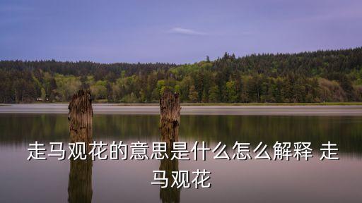  走馬觀花的意思是什么怎么解釋 走馬觀花