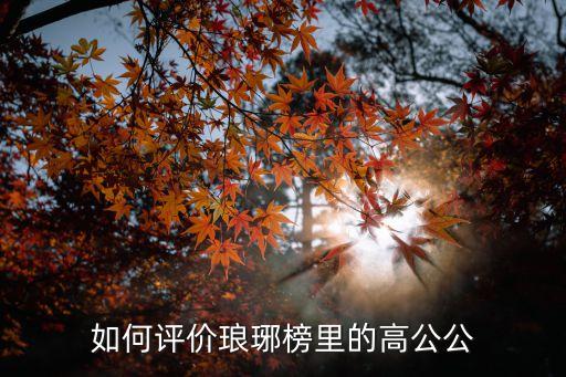如何評價瑯琊榜里的高公公