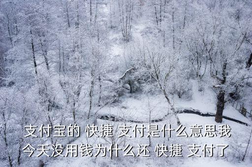  支付寶的 快捷 支付是什么意思我今天沒用錢為什么還 快捷 支付了