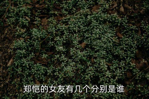鄭凱女友，鄭愷女友程曉玥多少歲