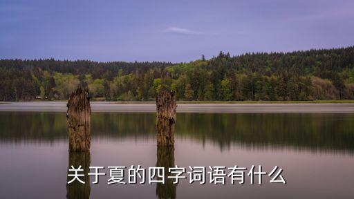 夏天的成語，夏天的成語有什么