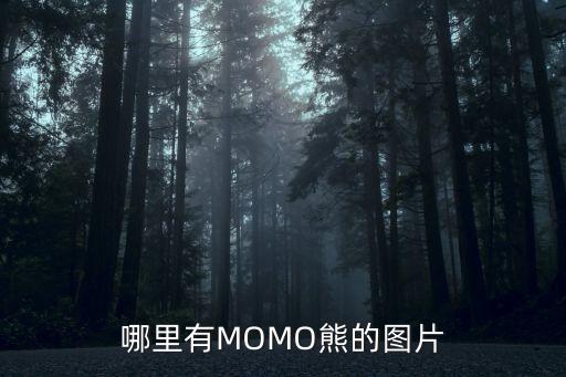 棕熊圖片，哪里有MOMO熊的圖片