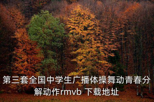 第三套全國(guó)中學(xué)生廣播體操舞動(dòng)青春分解動(dòng)作rmvb 下載地址
