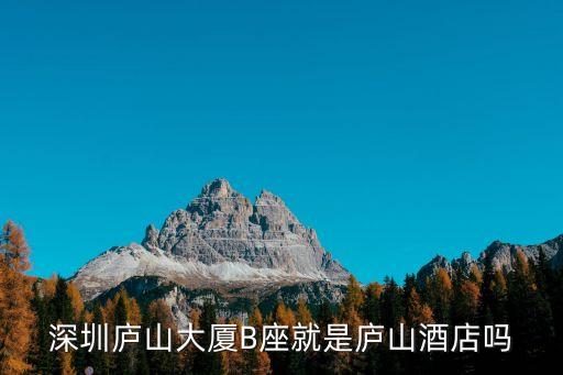 深圳廬山大廈B座就是廬山酒店嗎