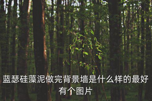 硅藻泥背景墻圖片，藍(lán)瑟硅藻泥做完背景墻是什么樣的最好有個(gè)圖片