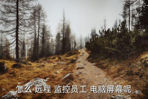 怎么 遠程 監控員工 電腦屏幕呢
