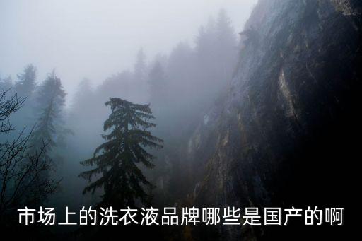 市場上的洗衣液品牌哪些是國產的啊