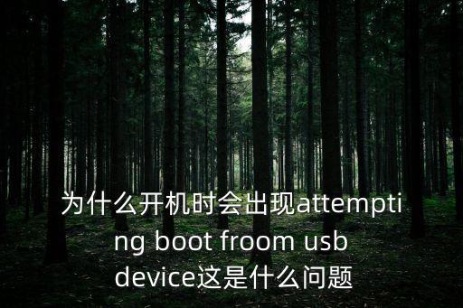 attempting，attempt什么意思